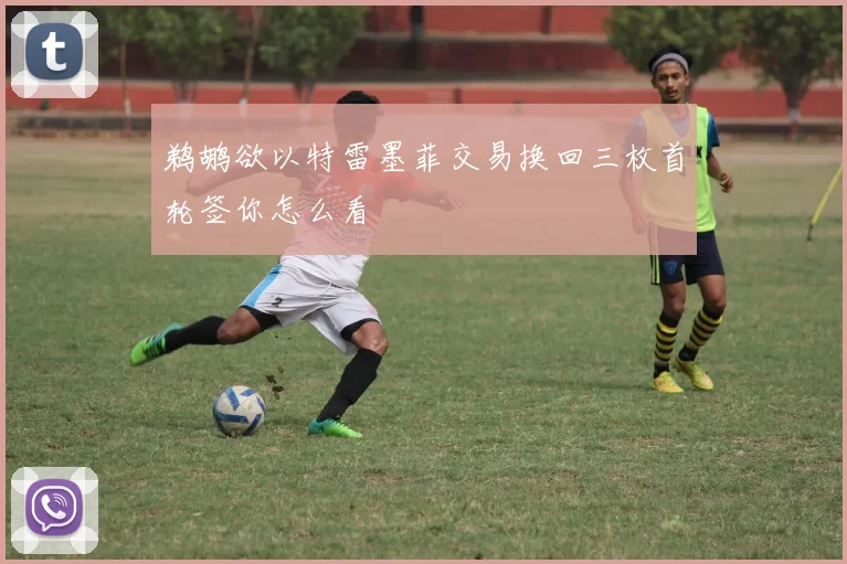 鹈鹕欲以特雷墨菲交易换回三枚首轮签你怎么看