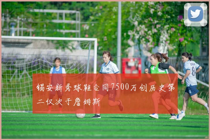 锡安新秀球鞋合同7500万创历史第二仅次于詹姆斯